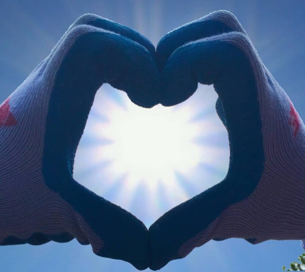 don du coeur